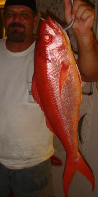 Key West, FL  Queen Snapper